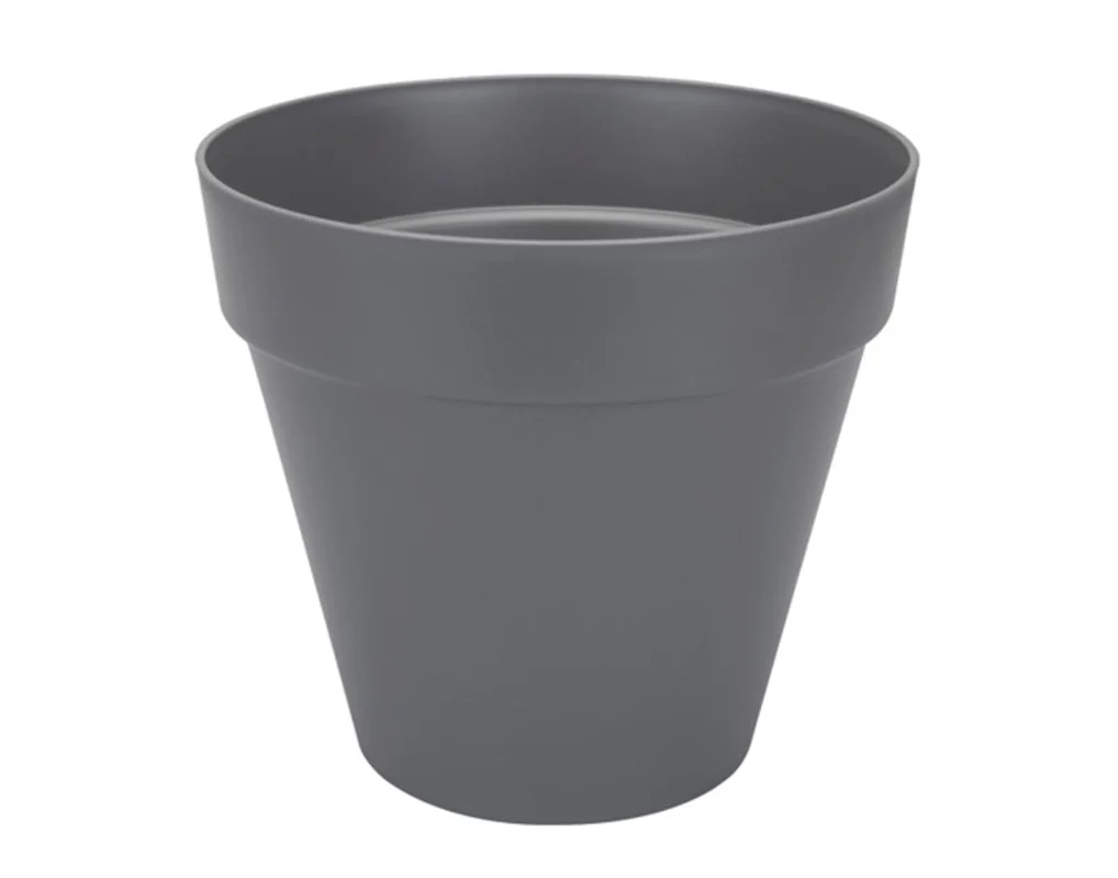 2026_06_15_505798