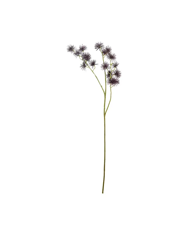 2026_06_16_574887