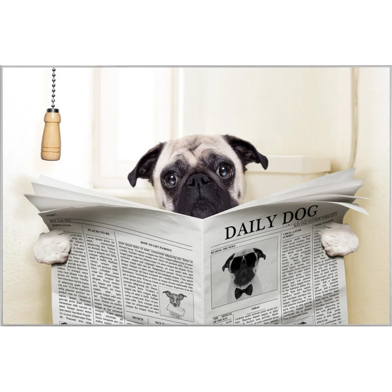 divani20260613185817307509